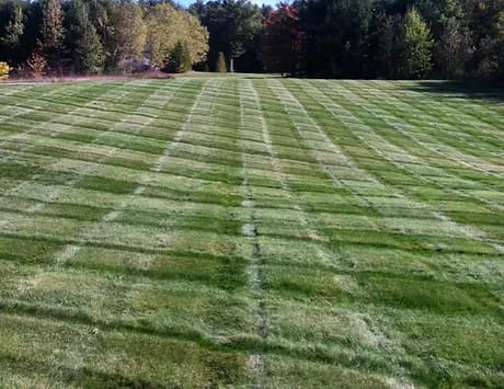 Residential Landscaping Business For Sale