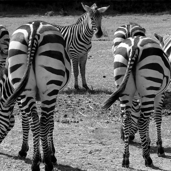 If You Sell Your Business – Buy Tail Insurance